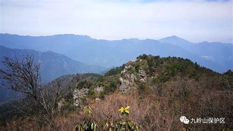 中国十大自然保护区