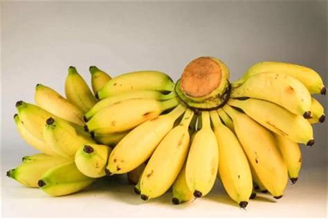 小米蕉一天吃多少合适