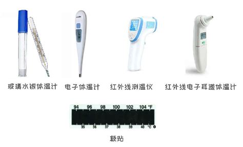 羊的正常体温是多少