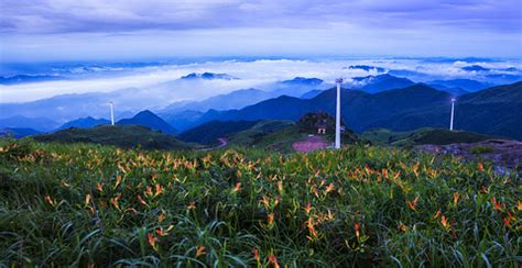 东白山风景区在哪里