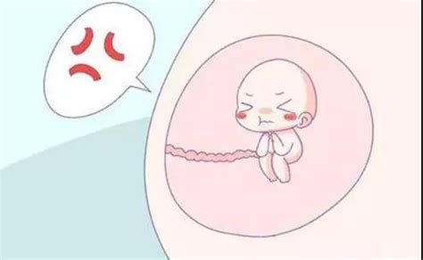 怎么知道胎宝宝在肚子里睡觉