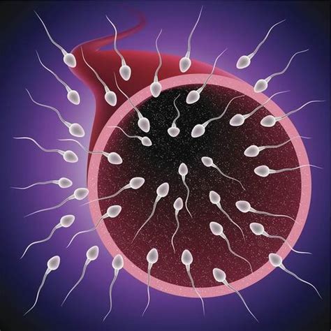 有没有输卵管通而不畅却成功怀孕的姐妹?
