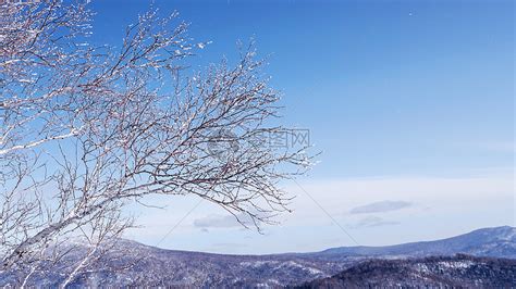 那个“寂寞如雪”是什么意思