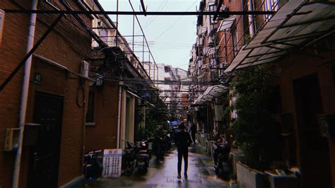 上海的弄堂的简介