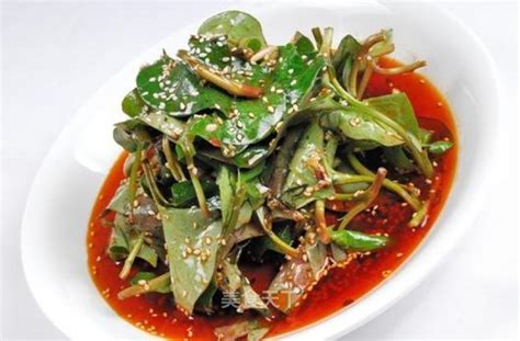 有人吃过折耳根嘛?什么味道好吃吗?