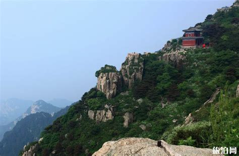 几点爬泰山可以看到日出