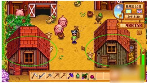 stardewvalley养猪养兔子有什么用 星露谷物语小鸡怎么喂