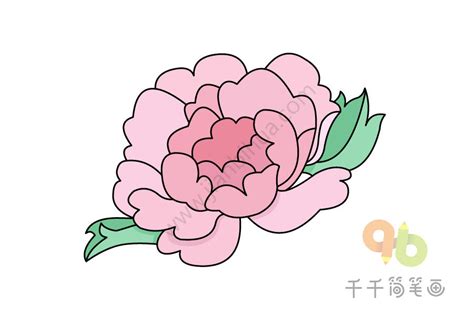 花的简笔画怎么画