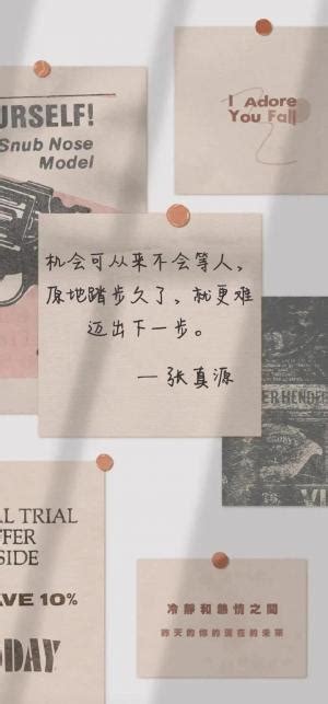 关于少年的唯美句子【共计70段】