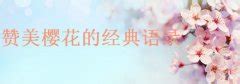 赞美古树的唯美句子