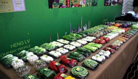 菜籃子工程意思 簡單點