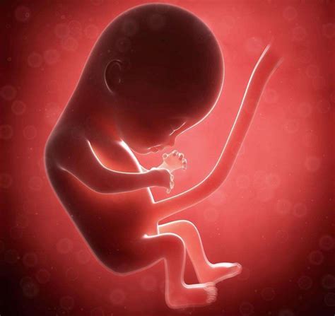 孕期哪事坚决不能做影响胎宝发育