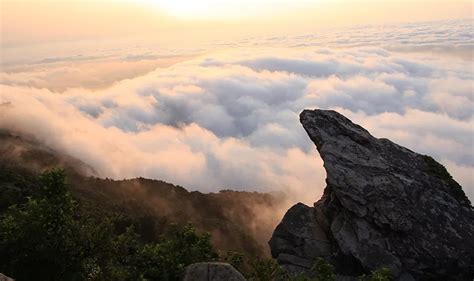 花果山在哪