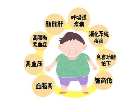 肥胖对心脏有什么危害