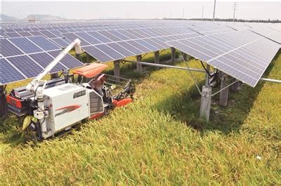 农光互补发电项目手续