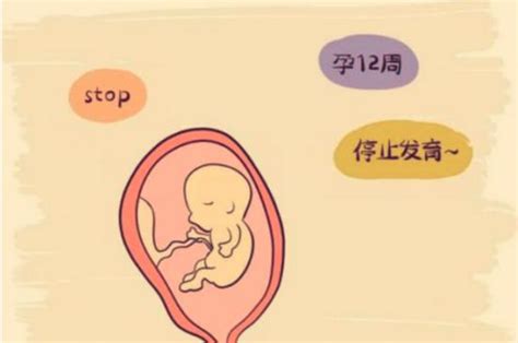 胚胎停育是什么原因导致的呢