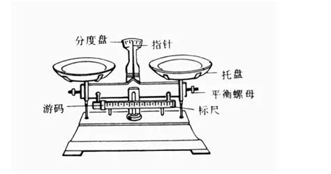 天平稱的使用方法