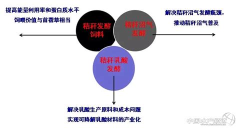 怎样制作发酵饲料