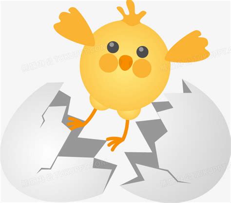 鸟保护蛋的动画片