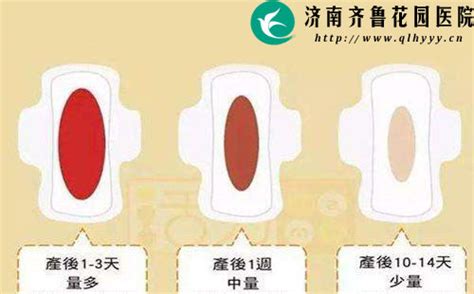 产后第一周排恶露食谱