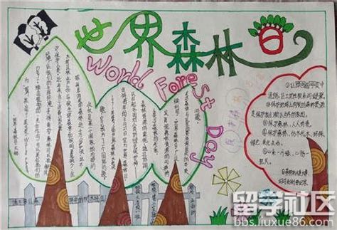 森林防火的手抄报 三年级