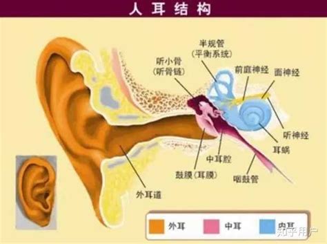 中耳炎不能吃六种食物