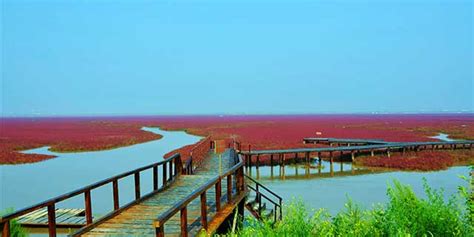 辽宁盘锦红海滩在哪