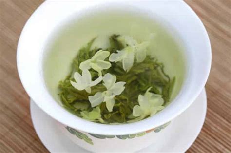 市场上有哪些茉莉花茶饮料品牌