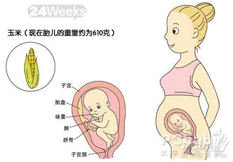 怀孕六个月引产有危害