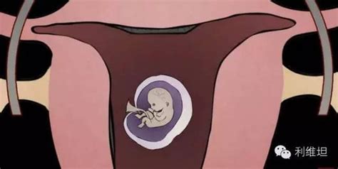 孕晚期如何去胎毒去内火