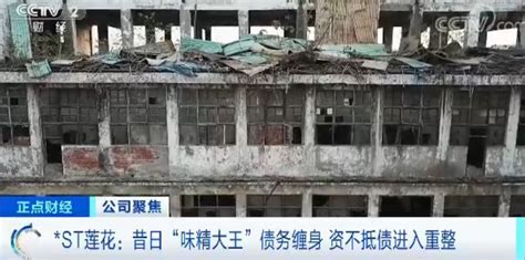 蓮花味精廠為何今非昔比