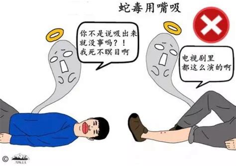 野外被毒蛇咬伤后急救措施(户外被蛇咬伤急救详细攻略有哪些)