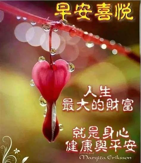 早上好平安健康的句子