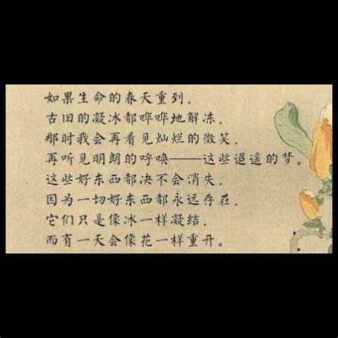 忆，六年如水光阴-抒情作文1000字（共4则）