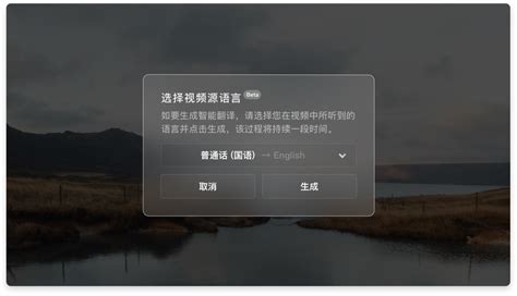 谁能告诉我射手影音播放器怎么使用啊??