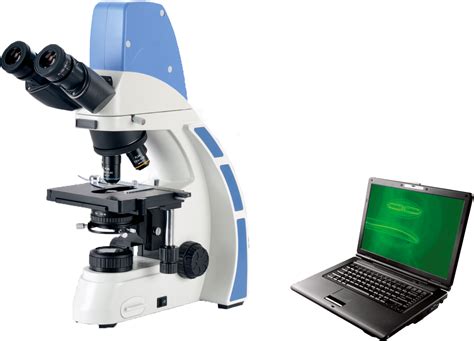 数码显微镜和光学显微镜有什么区别