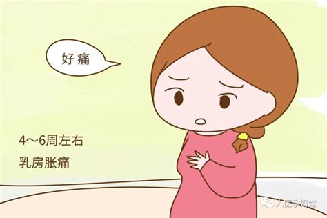 5个月孕妇常见问题