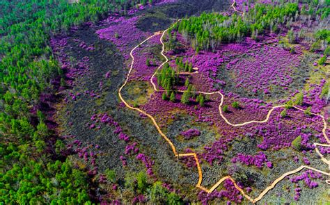 2019中国森林旅游节将于10月开幕