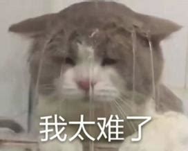 2022生活太难句子(集锦58段)