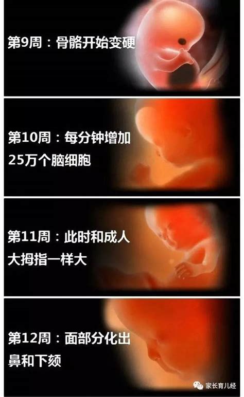 怀孕9周身体有什么变化