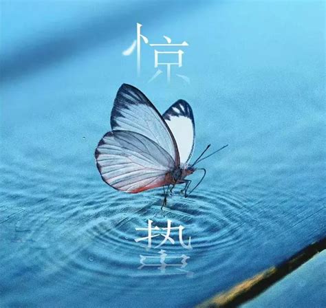 2020今日惊蛰朋友圈句子