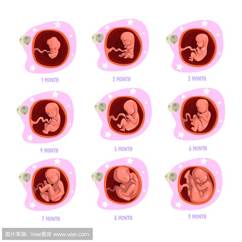 孕五个月胎儿出生能存活吗