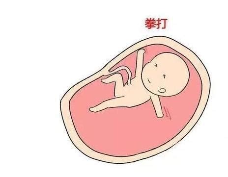 胎儿肚子小是不是发育就不好