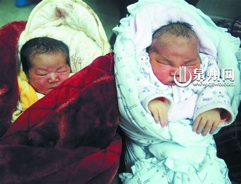 中国最大巨婴多少斤