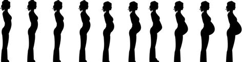 孕期1-10个月肚子变化照片
