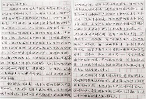 申论的格式