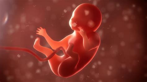 孕14周胎儿缺氧有什么反应