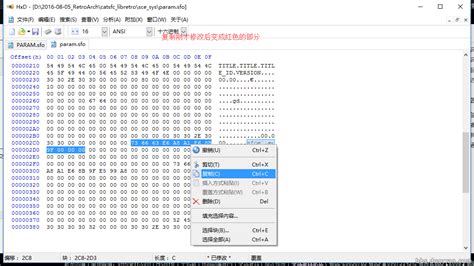 从qcma传输过去的VPK应该在哪里