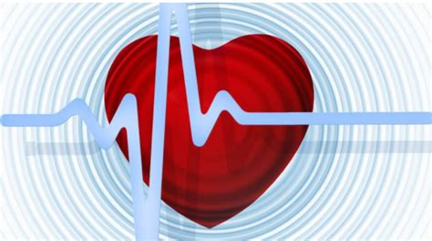 男宝和女宝的心跳声准