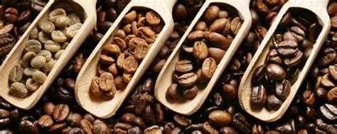 一杯咖啡多少咖啡豆